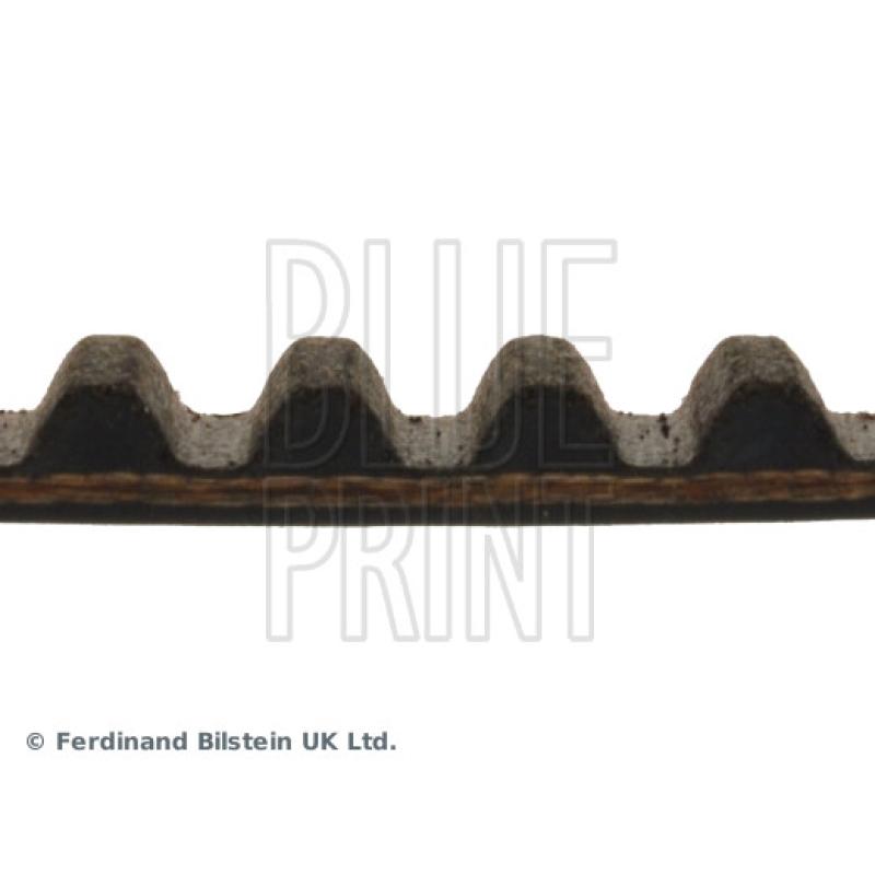 Courroie crantée BLUE PRINT ADZ97517 - Visuel 1