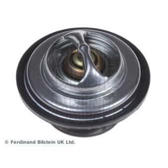 Thermostat d'eau BLUE PRINT ADZ99213