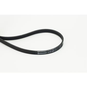 Courroie trapézoïdale à nervures CONTITECH [4PK800]