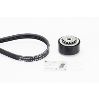 Jeu de courroies trapézoïdales à nervures CONTITECH OEM 7700870795