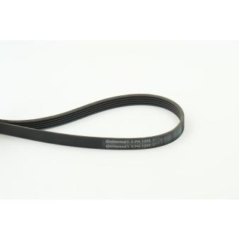 Courroie trapézoïdale à nervures CONTITECH [5PK1200]