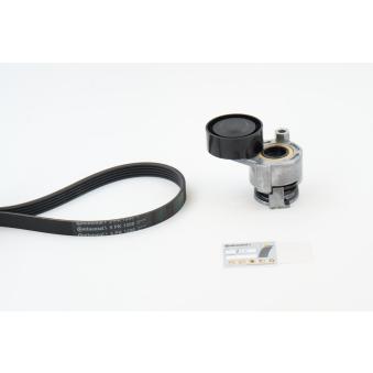 Jeu de courroies trapézoïdales à nervures CONTITECH OEM 8200612619