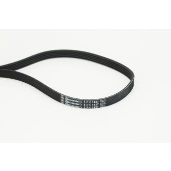 Courroie trapézoïdale à nervures CONTITECH OEM 4451A129