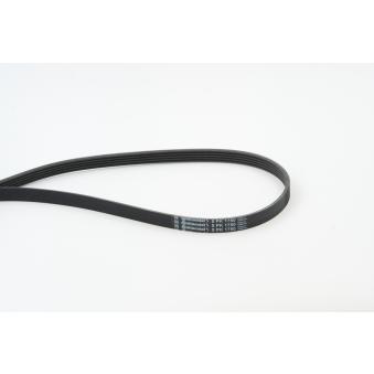 Courroie trapézoïdale à nervures CONTITECH [5PK1750]