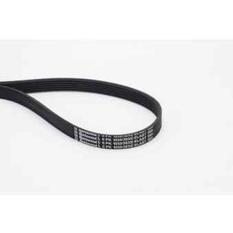 Courroie trapézoïdale à nervures CONTITECH 6PK1059 ELAST pour RENAULT KANGOO 1.6 - 105cv