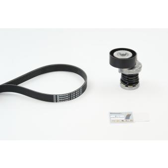 Jeu de courroies trapézoïdales à nervures CONTITECH OEM 03L903137