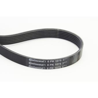 Courroie trapézoïdale à nervures CONTITECH 6PK1075 pour INFINITI FX E 300 e - 320cv