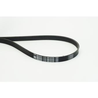 Courroie trapézoïdale à nervures CONTITECH OEM 311105R0003