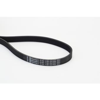Courroie trapézoïdale à nervures CONTITECH OEM 05L903159