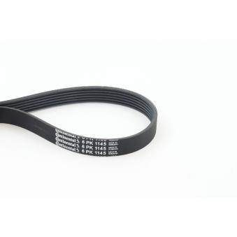 Courroie trapézoïdale à nervures CONTITECH [6PK1145]