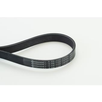 Courroie trapézoïdale à nervures CONTITECH OEM 11288580361