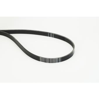Courroie trapézoïdale à nervures CONTITECH OEM 2812215900 Courroie trapézoïdale à nervures CONTITECH OEM 2812215900