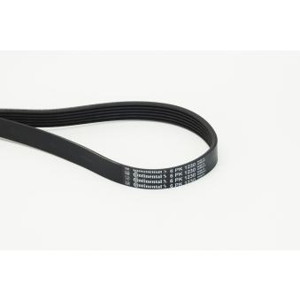 Courroie trapézoïdale à nervures CONTITECH [6PK1230]