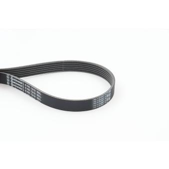 Courroie trapézoïdale à nervures CONTITECH 6PK1310 pour OPEL ASTRA 1.3 D Multijet - 95cv
