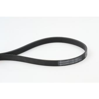 Courroie trapézoïdale à nervures CONTITECH 6PK1352 pour TOYOTA COROLLA 2,0 EcoBlue - 150cv