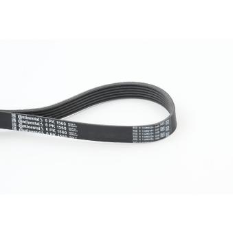 Courroie trapézoïdale à nervures CONTITECH [6PK1560]