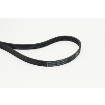 Courroie trapézoïdale à nervures CONTITECH 6PK1670 pour LAND ROVER RANGE ROVER EVOQUE 2.2 TDCi - 110cv