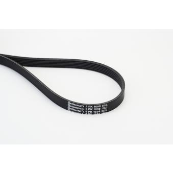 Courroie trapézoïdale à nervures CONTITECH 6PK1698 pour BMW Série 3 320 d - 200cv