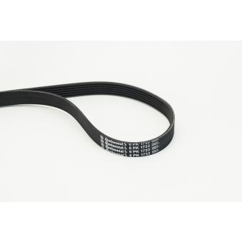 Courroie trapézoïdale à nervures CONTITECH 6PK1733 pour VOLKSWAGEN GOLF 2.0 - 180cv