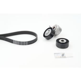 Jeu de courroies trapézoïdales à nervures CONTITECH OEM E117741