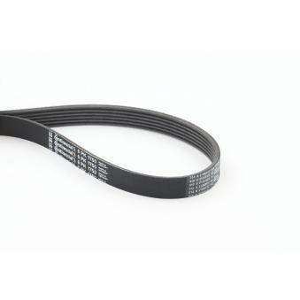 Courroie trapézoïdale à nervures CONTITECH [6PK1750]