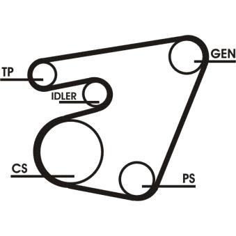 Jeu de courroies trapézoïdales à nervures CONTITECH OEM 074903137AM