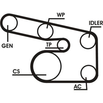 Jeu de courroies trapézoïdales à nervures CONTITECH OEM 24413294 Jeu de courroies trapézoïdales à nervures CONTITECH OEM 24413294