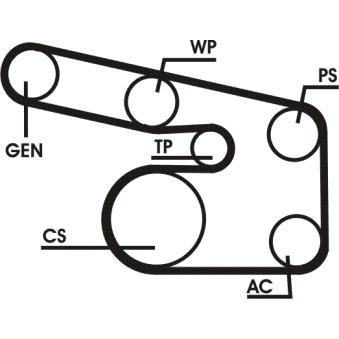 Jeu de courroies trapézoïdales à nervures CONTITECH 6PK1900D1