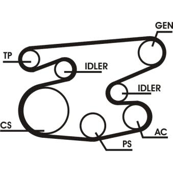Jeu de courroies trapézoïdales à nervures CONTITECH OEM 074260849AD