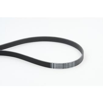 Courroie trapézoïdale à nervures CONTITECH OEM 4612928