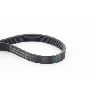 Courroie trapézoïdale à nervures CONTITECH 6PK800 pour VOLKSWAGEN GOLF 1.5 EcoBlue - 120cv