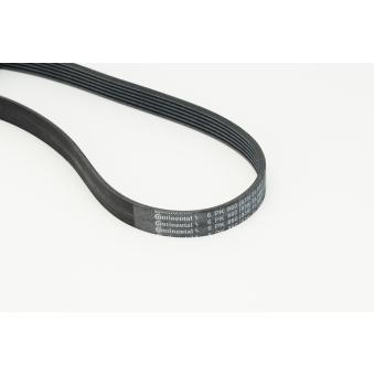 Courroie trapézoïdale à nervures CONTITECH 6PK860 ELAST pour ALFA ROMEO JUNIOR 2.0 TDI - 110cv