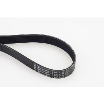 Courroie trapézoïdale à nervures CONTITECH 7PK1165 pour CHRYSLER NEON 1.2 - 80cv