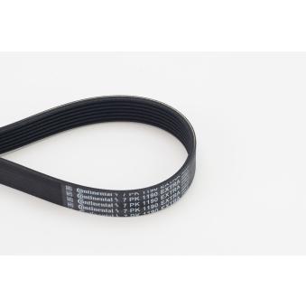 Courroie trapézoïdale à nervures CONTITECH 7PK1190 EXTRA pour ROVER 600 4.8 - 560cv