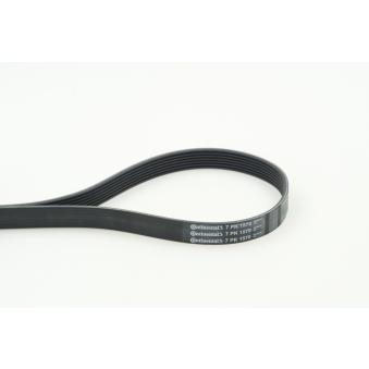 Courroie trapézoïdale à nervures CONTITECH [7PK1570]