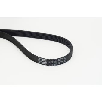 Courroie trapézoïdale à nervures CONTITECH 7PK1685 EXTRA