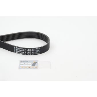 Courroie trapézoïdale à nervures CONTITECH [7PK1855]
