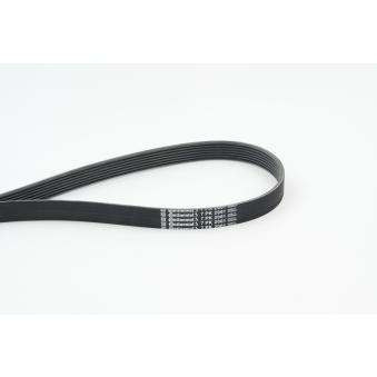 Courroie trapézoïdale à nervures CONTITECH OEM 04301RNA305