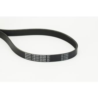 Courroie trapézoïdale à nervures CONTITECH 7PK977 EXTRA pour SUZUKI SWIFT 1.2 SHVS - 90cv