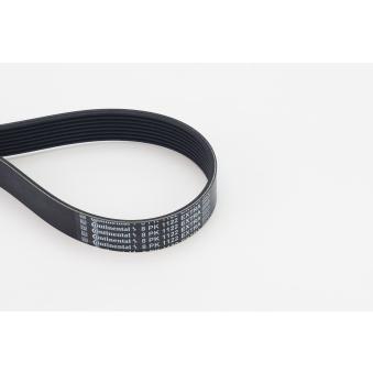 Courroie trapézoïdale à nervures CONTITECH 8PK1122 EXTRA pour BMW Série 7 730 d. Ld Mild-Hybrid - 286cv