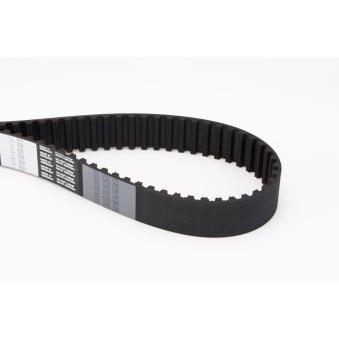 Courroie crantée CONTITECH CT1038 pour RENAULT TRAFIC 2.5 D - 69cv