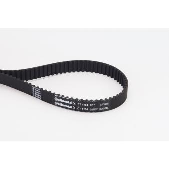 Courroie crantée CONTITECH OEM 0816F7