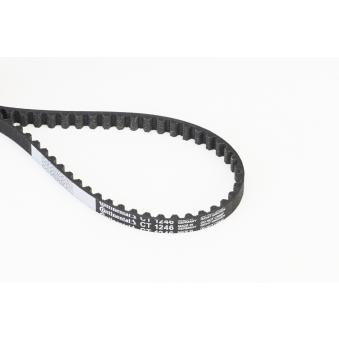 Courroie crantée CONTITECH CT1246 pour MINI MINI 1.2 Turbo - 110cv Courroie crantée CONTITECH CT1246 pour MINI MINI 1.2 Turbo - 110cv