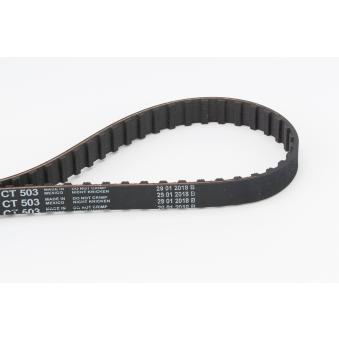 Courroie crantée CONTITECH [CT503]