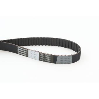 Courroie crantée CONTITECH OEM 11311717215