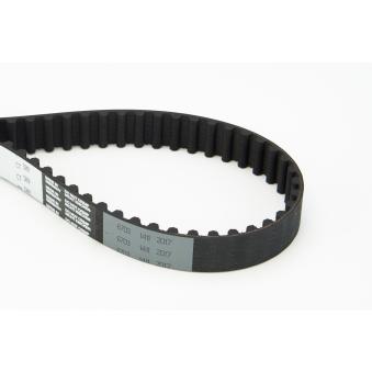 Courroie crantée CONTITECH OEM 1721699 Courroie crantée CONTITECH OEM 1721699