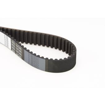 Courroie crantée CONTITECH OEM 7613823