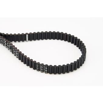 Courroie crantée CONTITECH OEM 036109119H Courroie crantée CONTITECH OEM 036109119H