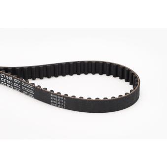 Courroie crantée CONTITECH OEM 8200545581