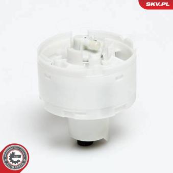 Unité d'injection de carburant ESEN SKV OEM 8E0906087D Unité d'injection de carburant ESEN SKV OEM 8E0906087D